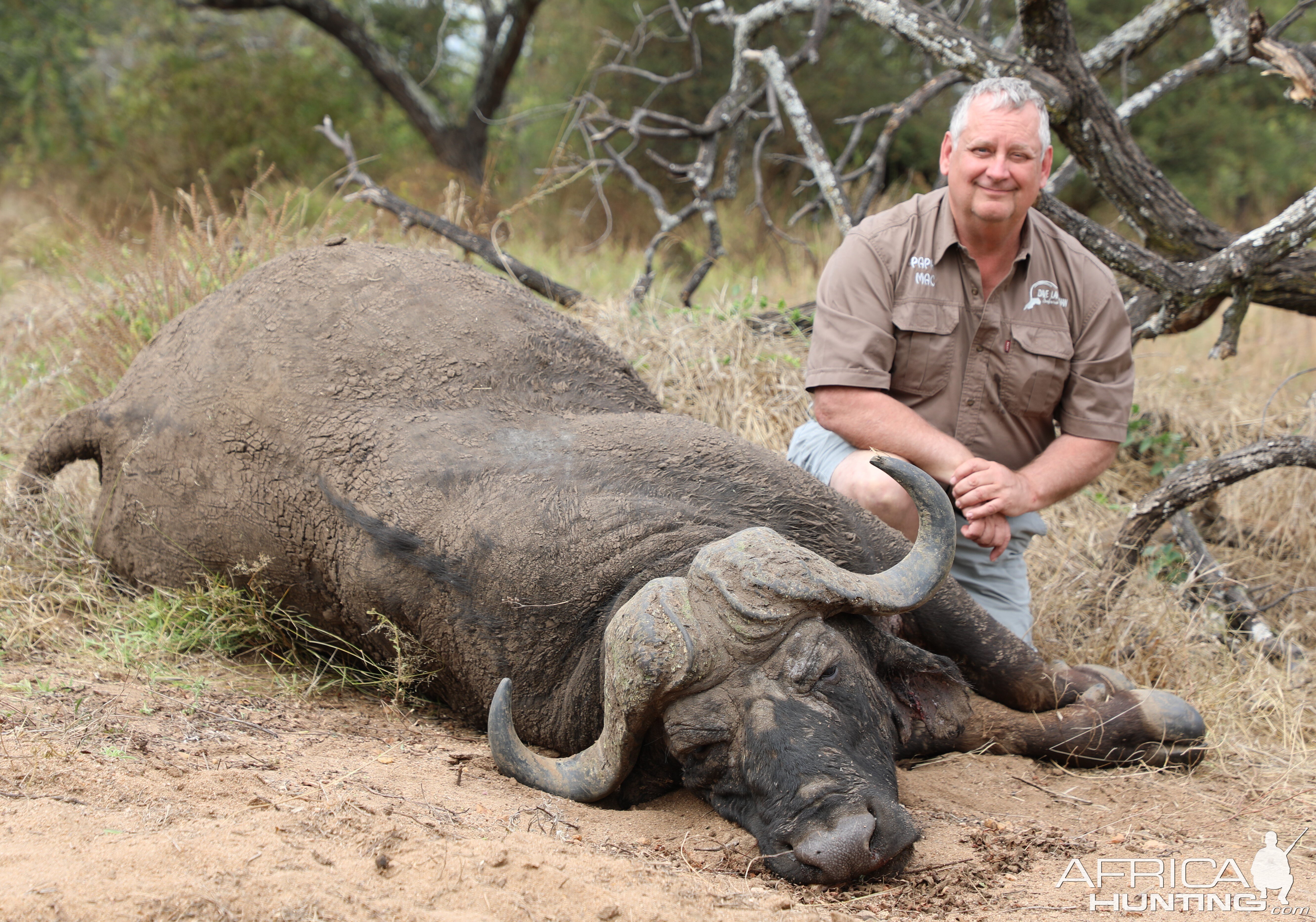 Zimbabwe Buffalo Hunt
