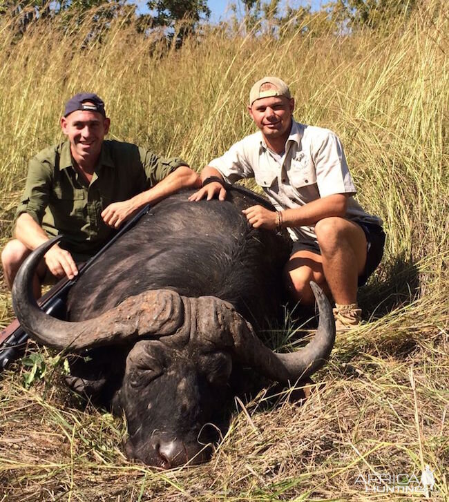 Zimbabwe Cape Buffalo Hunt | AfricaHunting.com