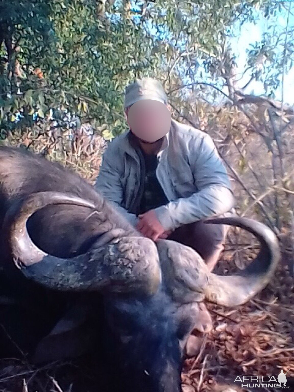 Zimbabwe Cape Buffalo Hunt