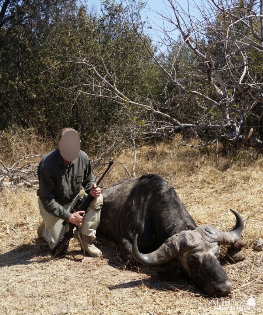 Zimbabwe Cape Buffalo Hunt