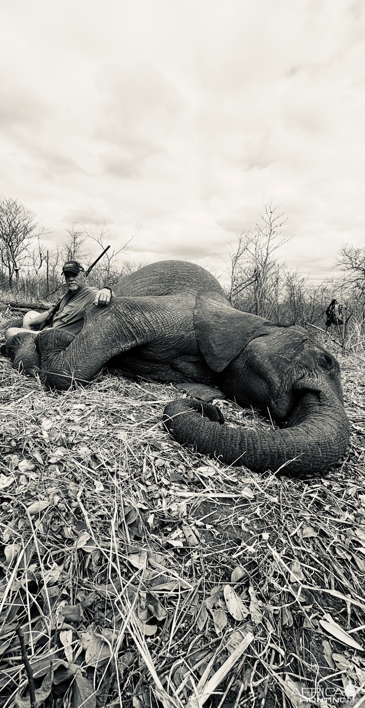 Zimbabwe Elephant Hunt