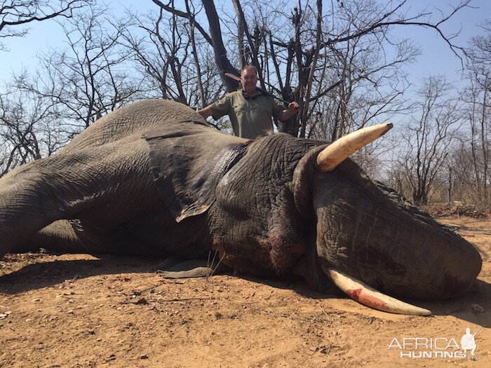 Zimbabwe Elephant Hunting | AfricaHunting.com