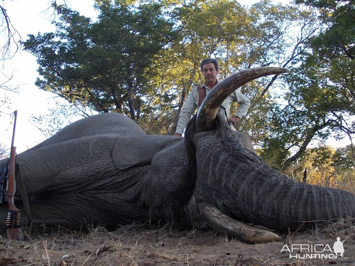 Zimbabwe Elephant Hunting