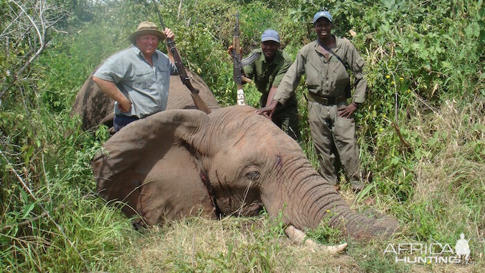 Zimbabwe Elephant Hunting | AfricaHunting.com