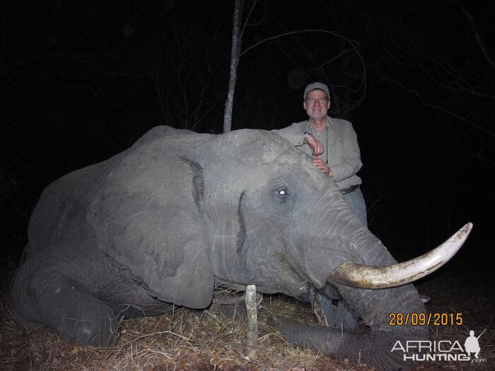 Zimbabwe Elephant Hunting