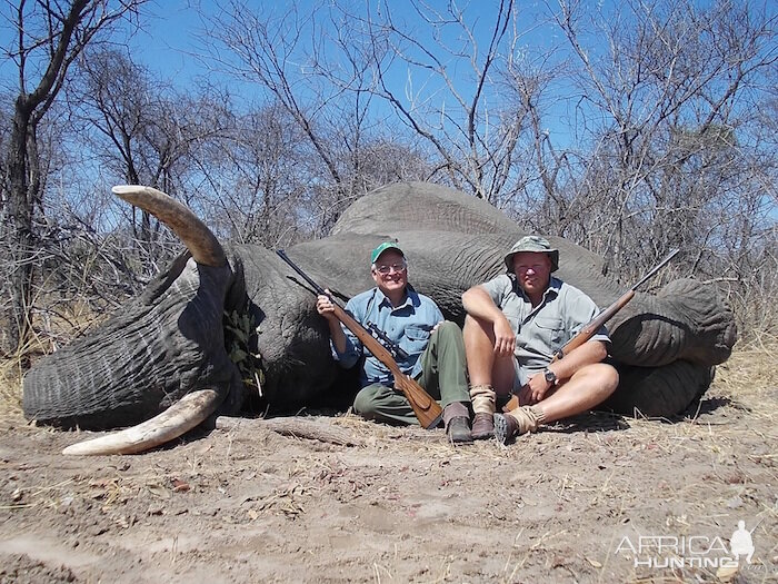 Zimbabwe Elephant Hunting