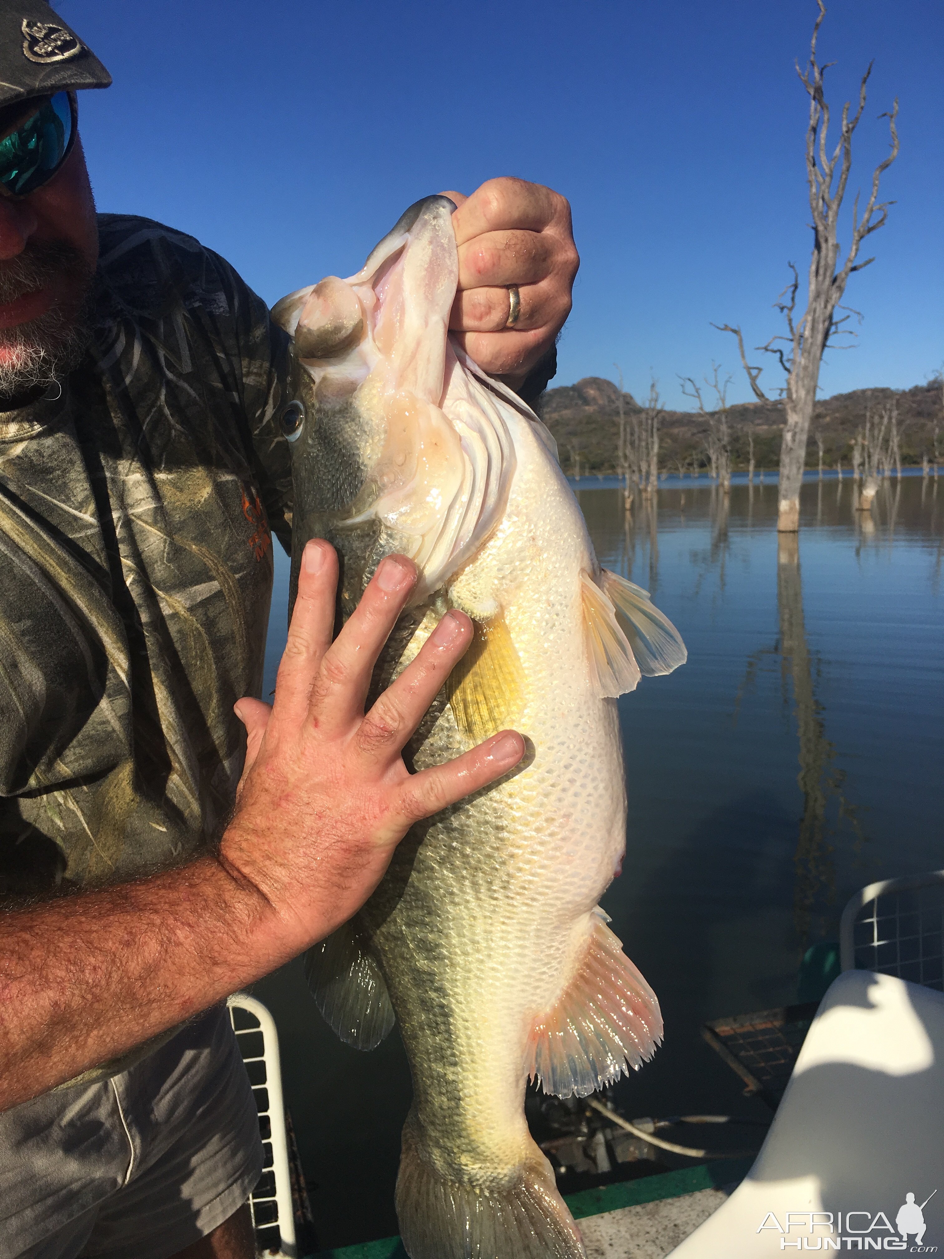 Zimbabwe Fishing Bass