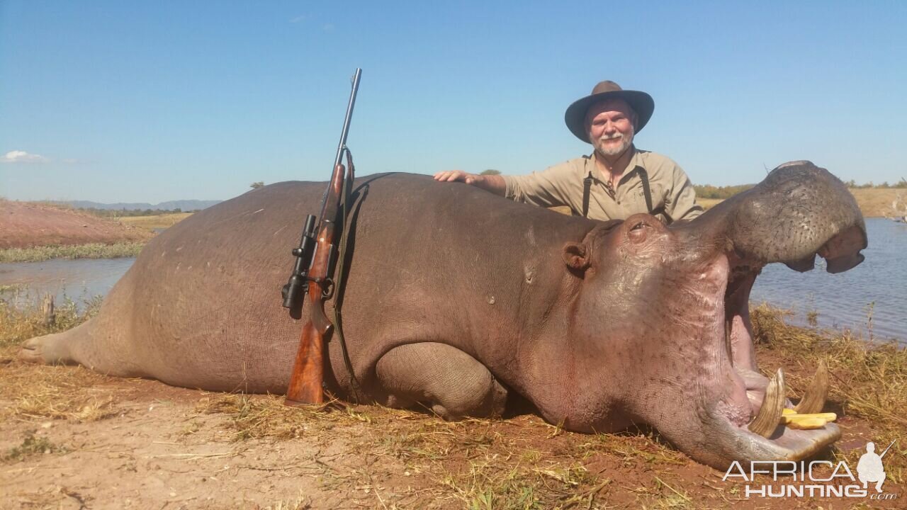 Zimbabwe Hippo Hunt