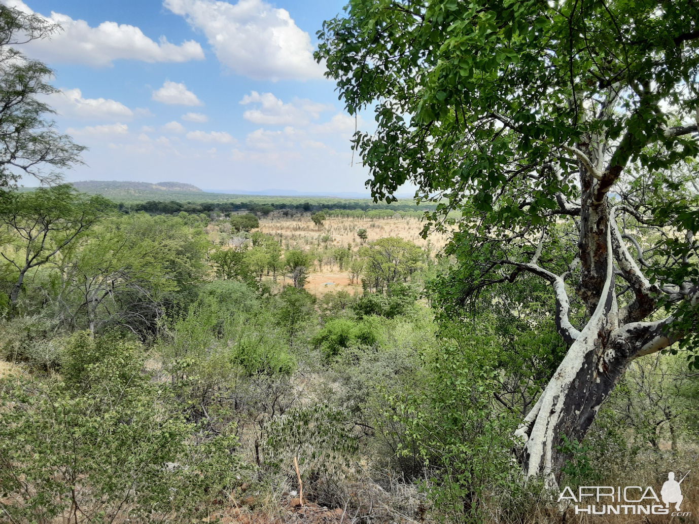 Zimbabwe Hunt Area