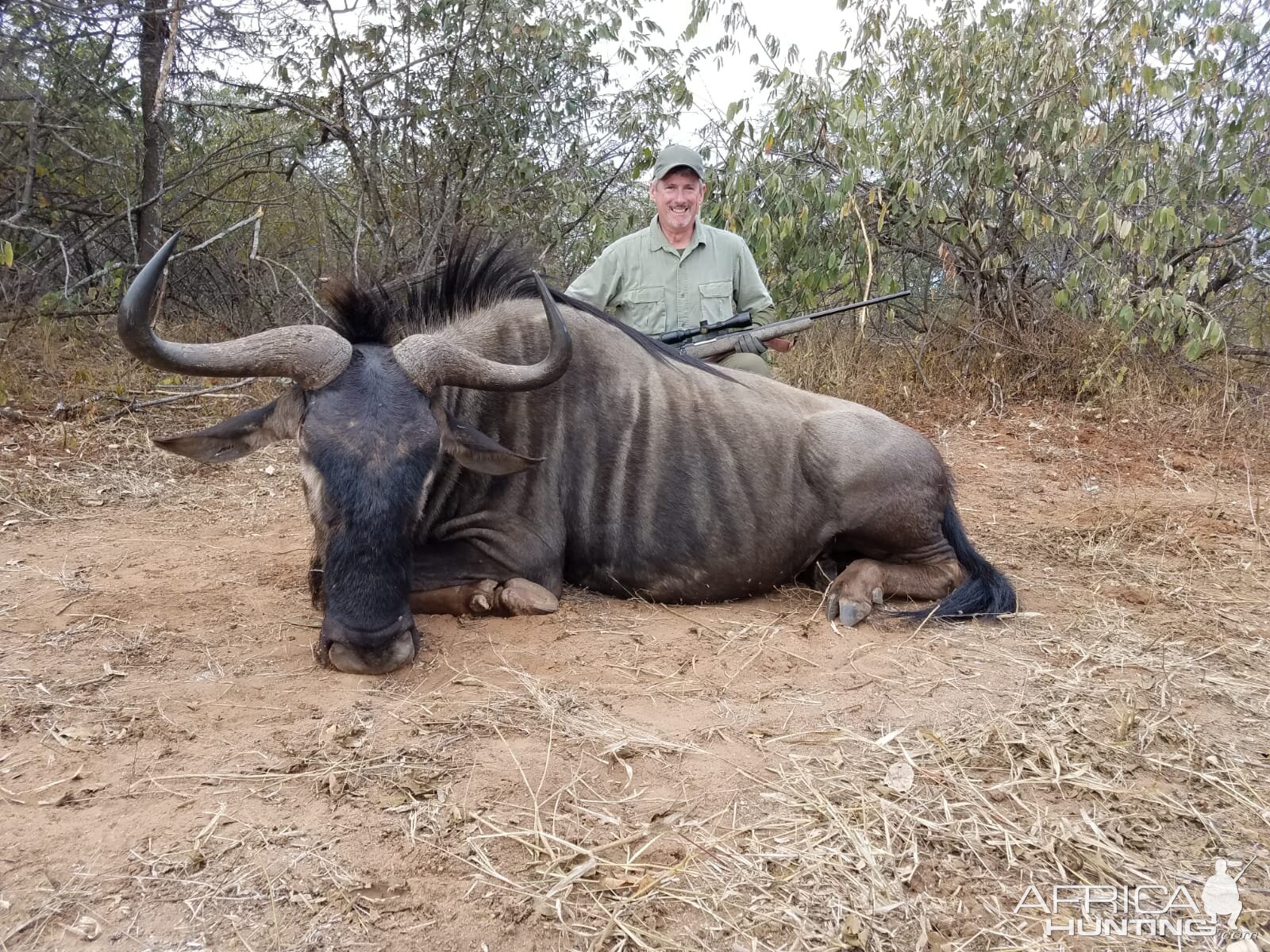 Zimbabwe Hunt Blue Wildebeest