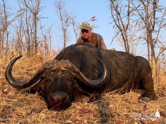 Zimbabwe Hunt Buffalo