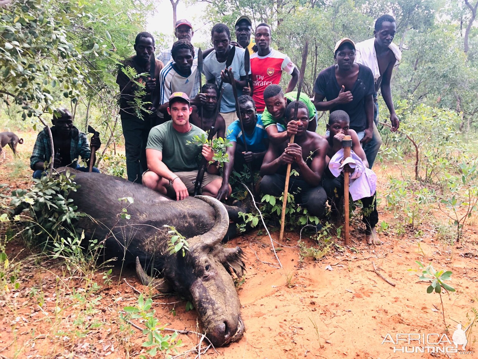 Zimbabwe Hunt Cape Buffalo Cow | AfricaHunting.com