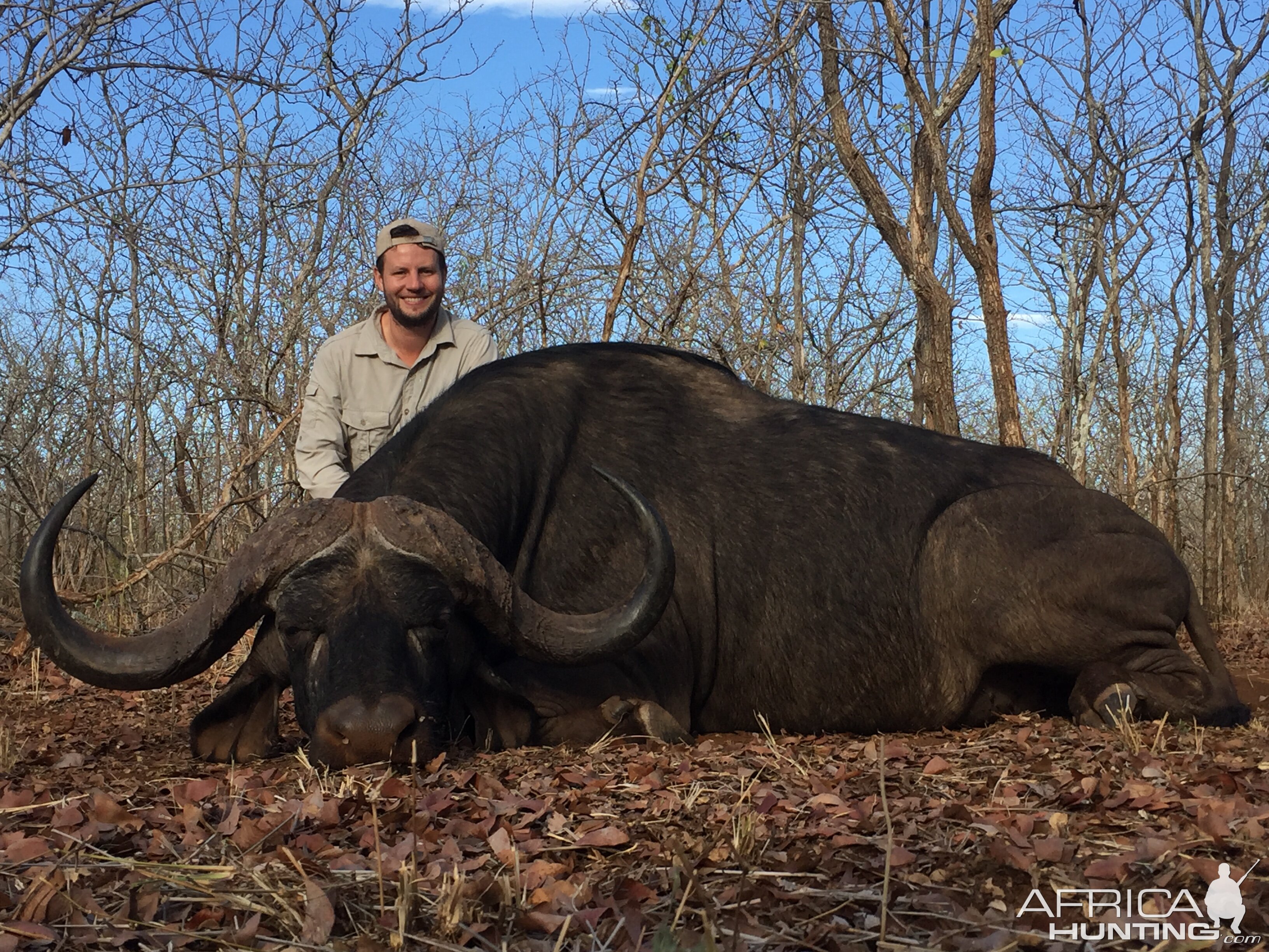 Zimbabwe Hunt Cape Buffalo | AfricaHunting.com