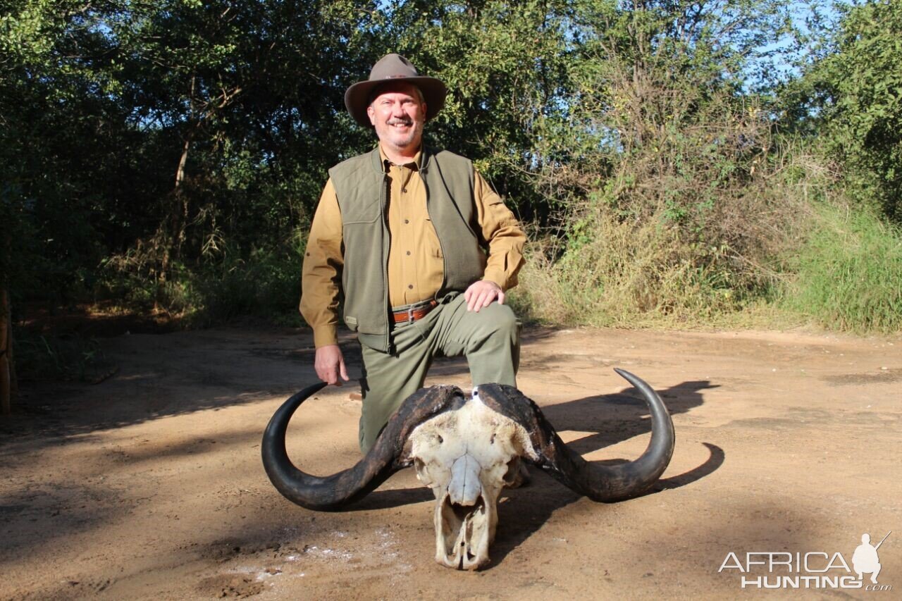 Zimbabwe Hunt Cape Buffalo