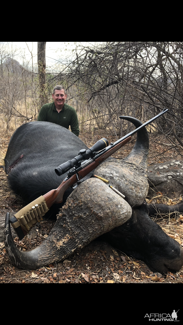 Zimbabwe Hunt Cape Buffalo