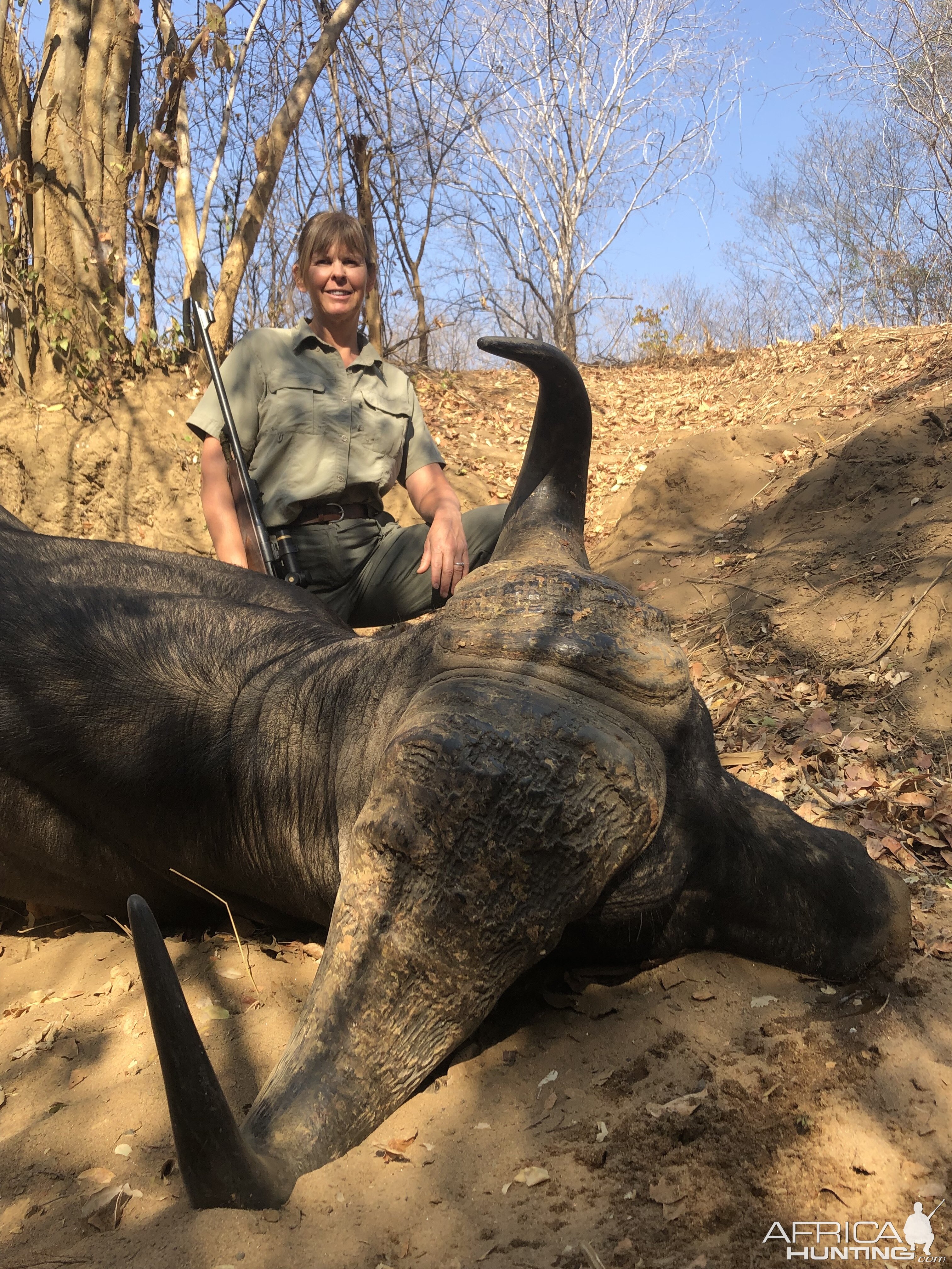 Zimbabwe Hunt Cape Buffalo