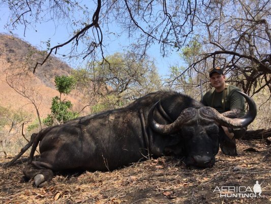 Zimbabwe Hunt Cape Buffalo | AfricaHunting.com