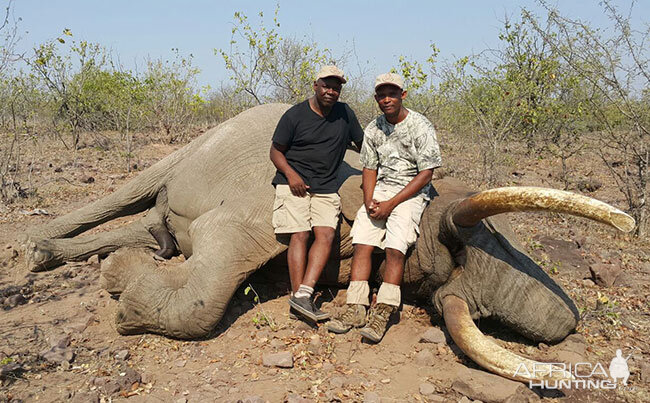 Zimbabwe Hunt Elephant