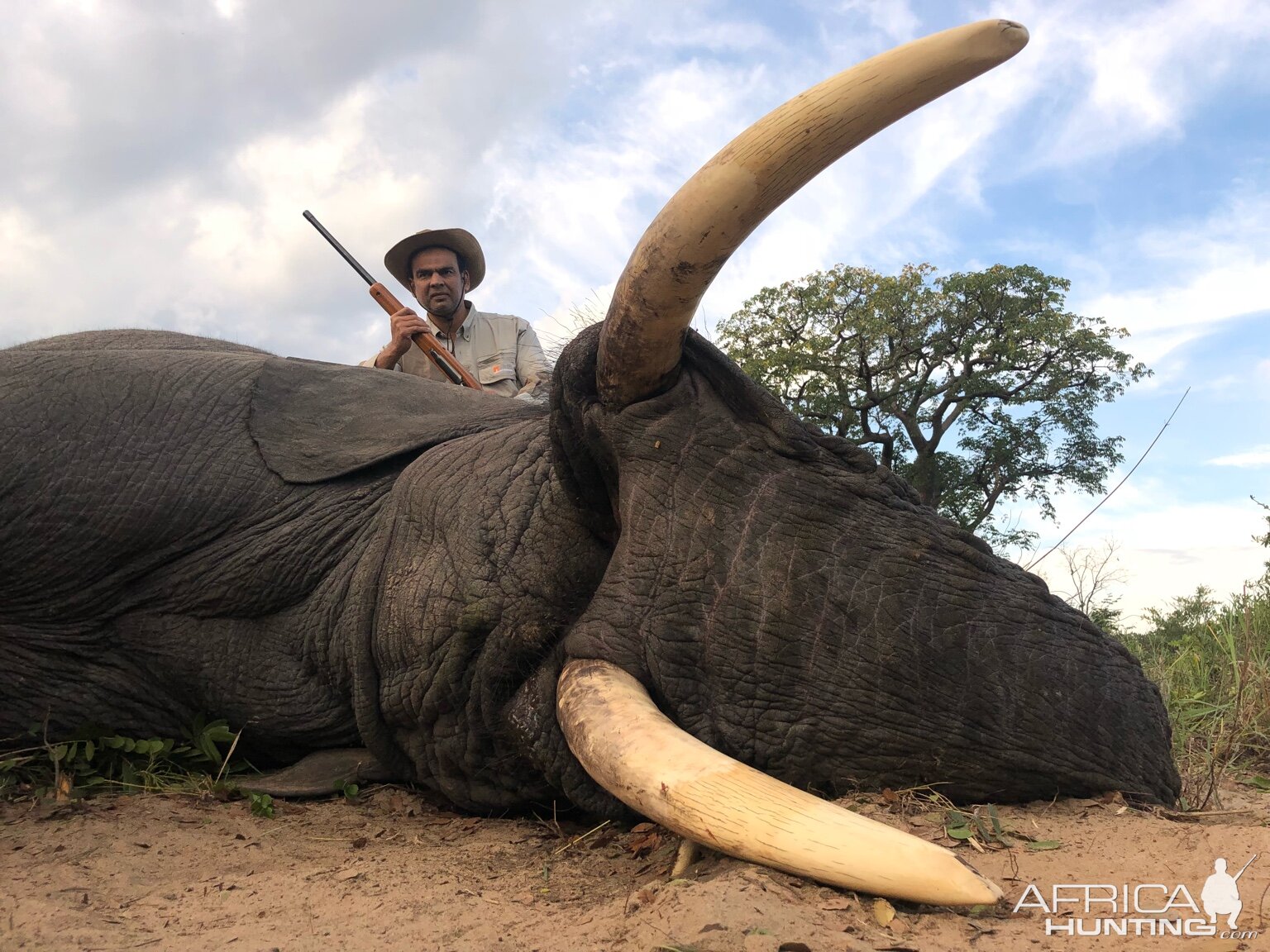 Zimbabwe Hunt Elephant | AfricaHunting.com