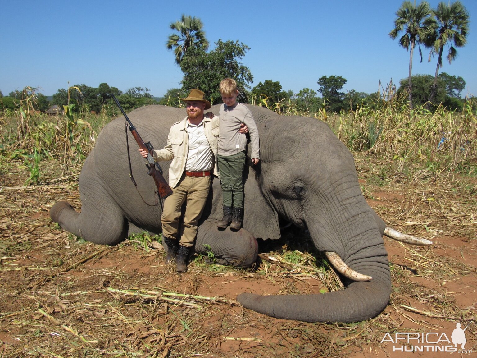 Zimbabwe Hunt Elephant | AfricaHunting.com