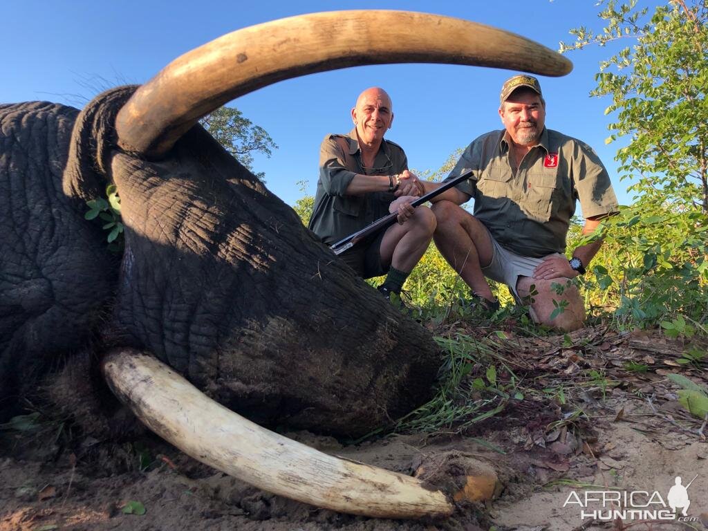 Zimbabwe Hunt Elephant | AfricaHunting.com