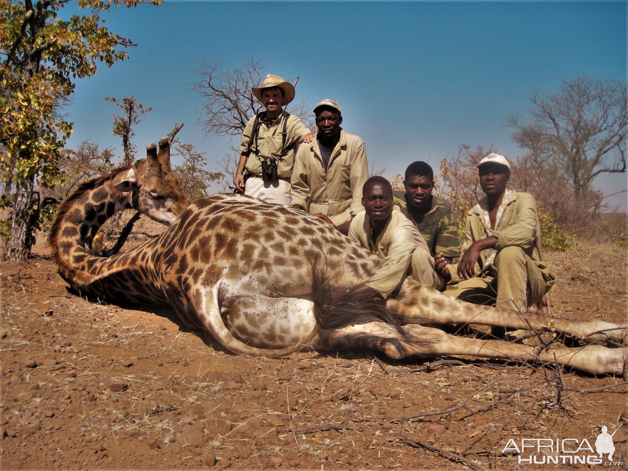 Zimbabwe Hunt Giraffe