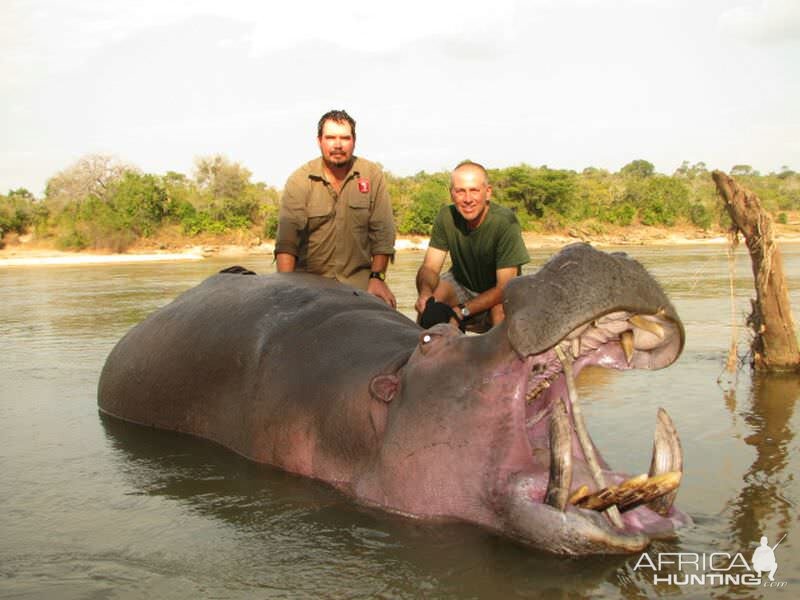 Zimbabwe Hunt Hippo