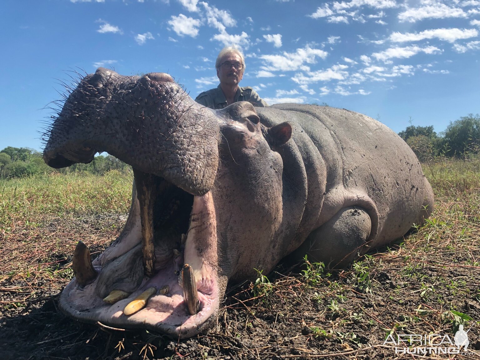 Zimbabwe Hunt Hippo