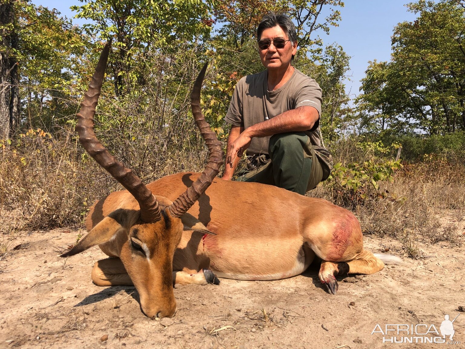 Zimbabwe Hunt Impala