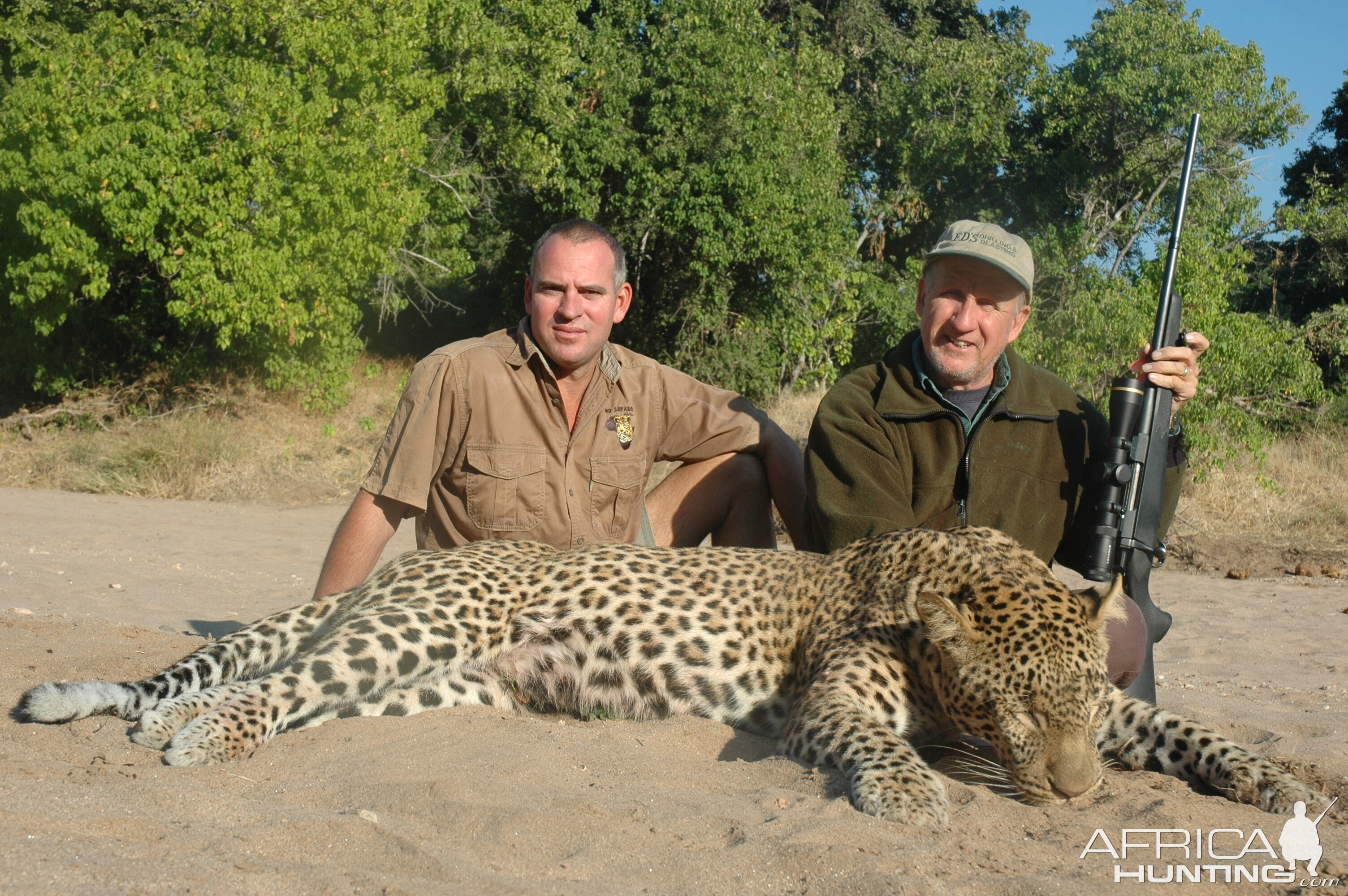 Zimbabwe Hunt Leopard