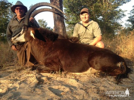 Zimbabwe Hunt Sable Antelope