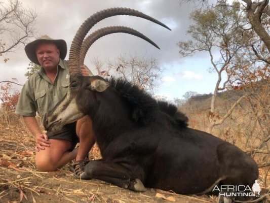 Zimbabwe Hunt Sable Antelope