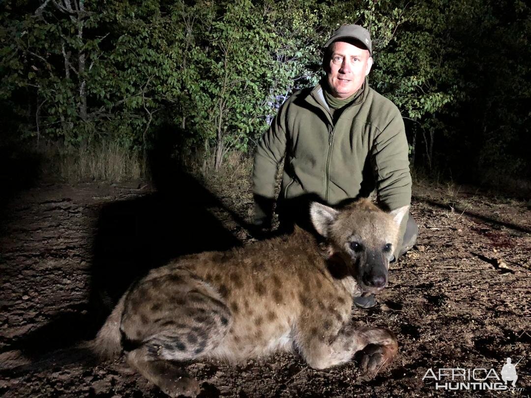 Zimbabwe Hunt Spotted Hyena