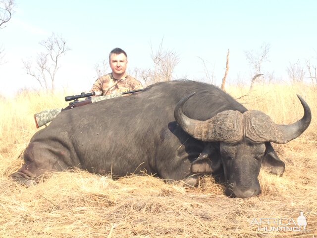 Zimbabwe Hunting Cape Buffalo | AfricaHunting.com