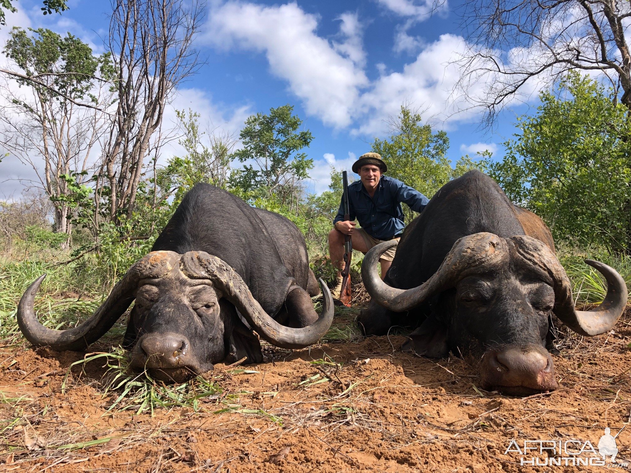 Zimbabwe Hunting Cape Buffalo | AfricaHunting.com