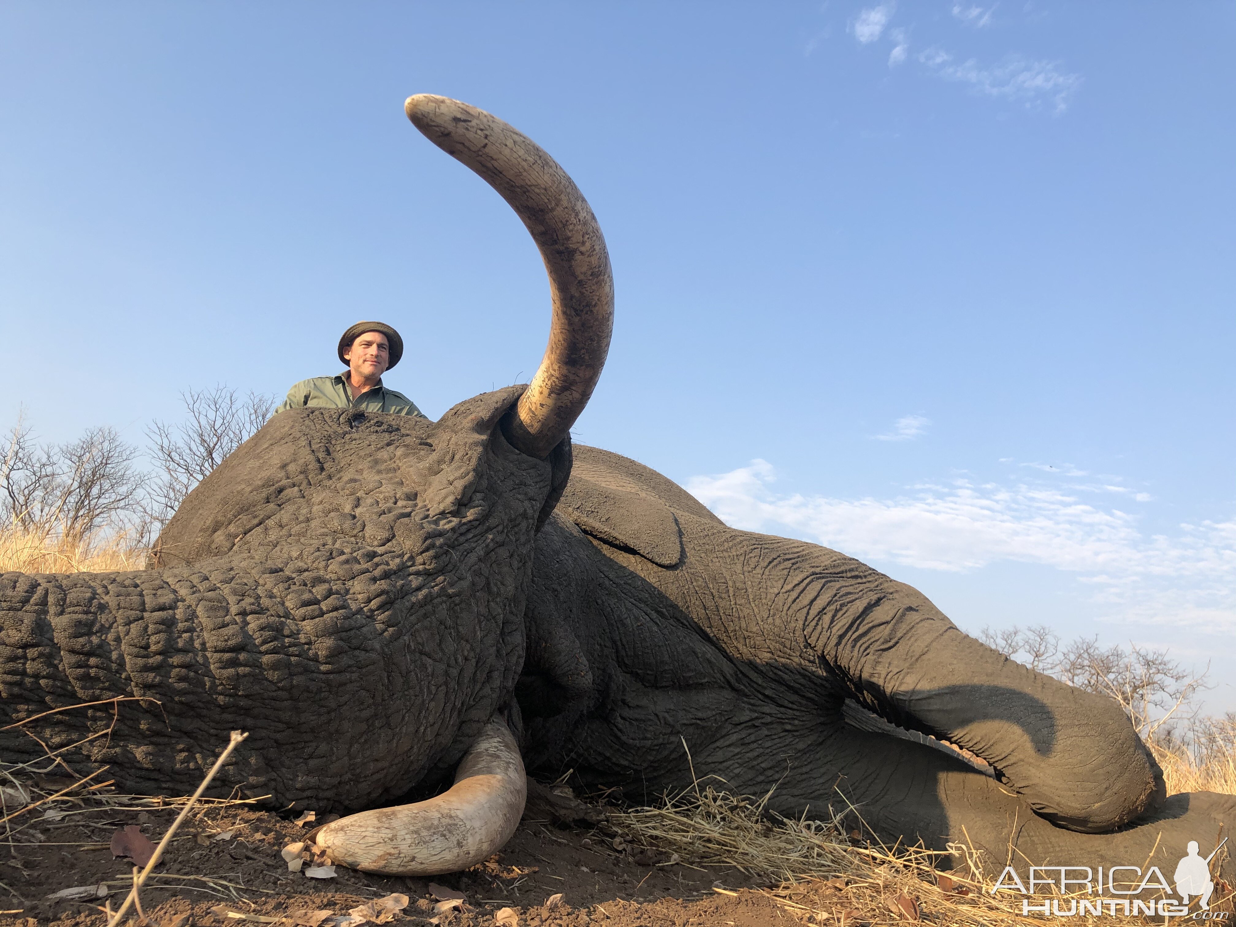 Zimbabwe Hunting Elephant