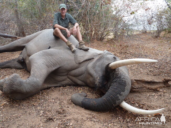 Zimbabwe Hunting Elephant