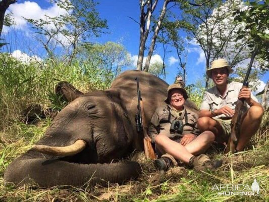 Zimbabwe Hunting Elephant