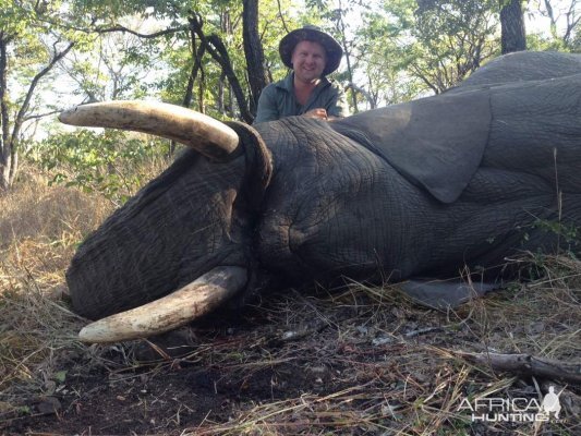 Zimbabwe Hunting Elephant