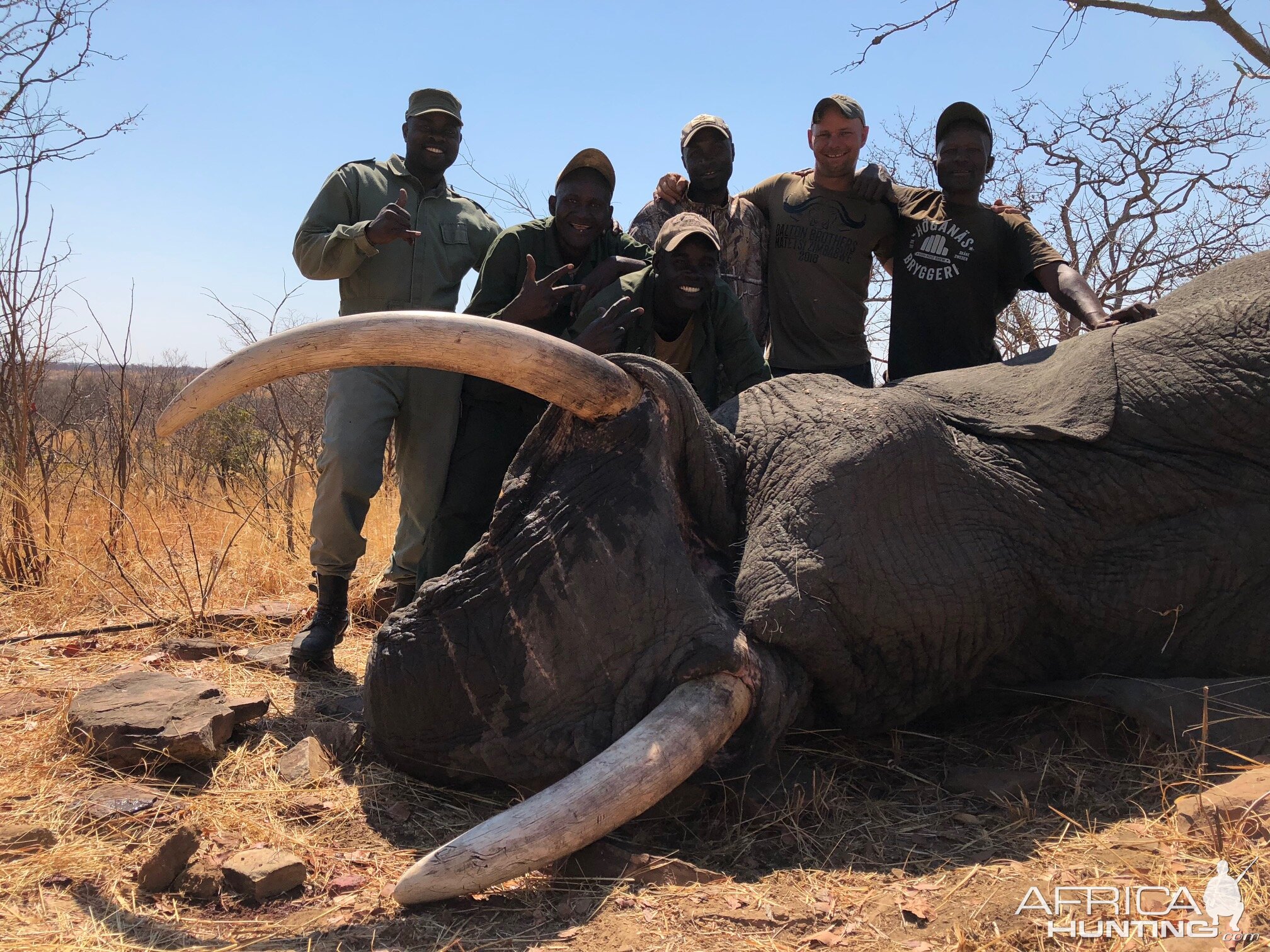 Zimbabwe Hunting Elephant