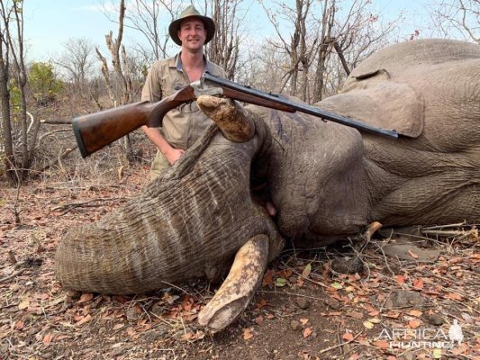 Zimbabwe Hunting Elephant