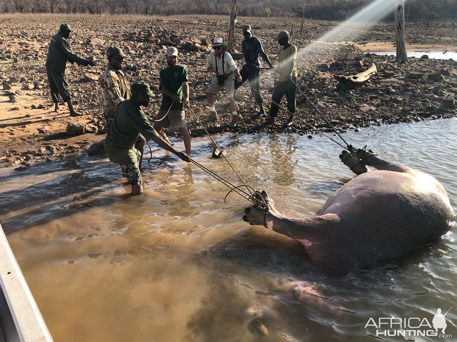 Zimbabwe Hunting Hippo