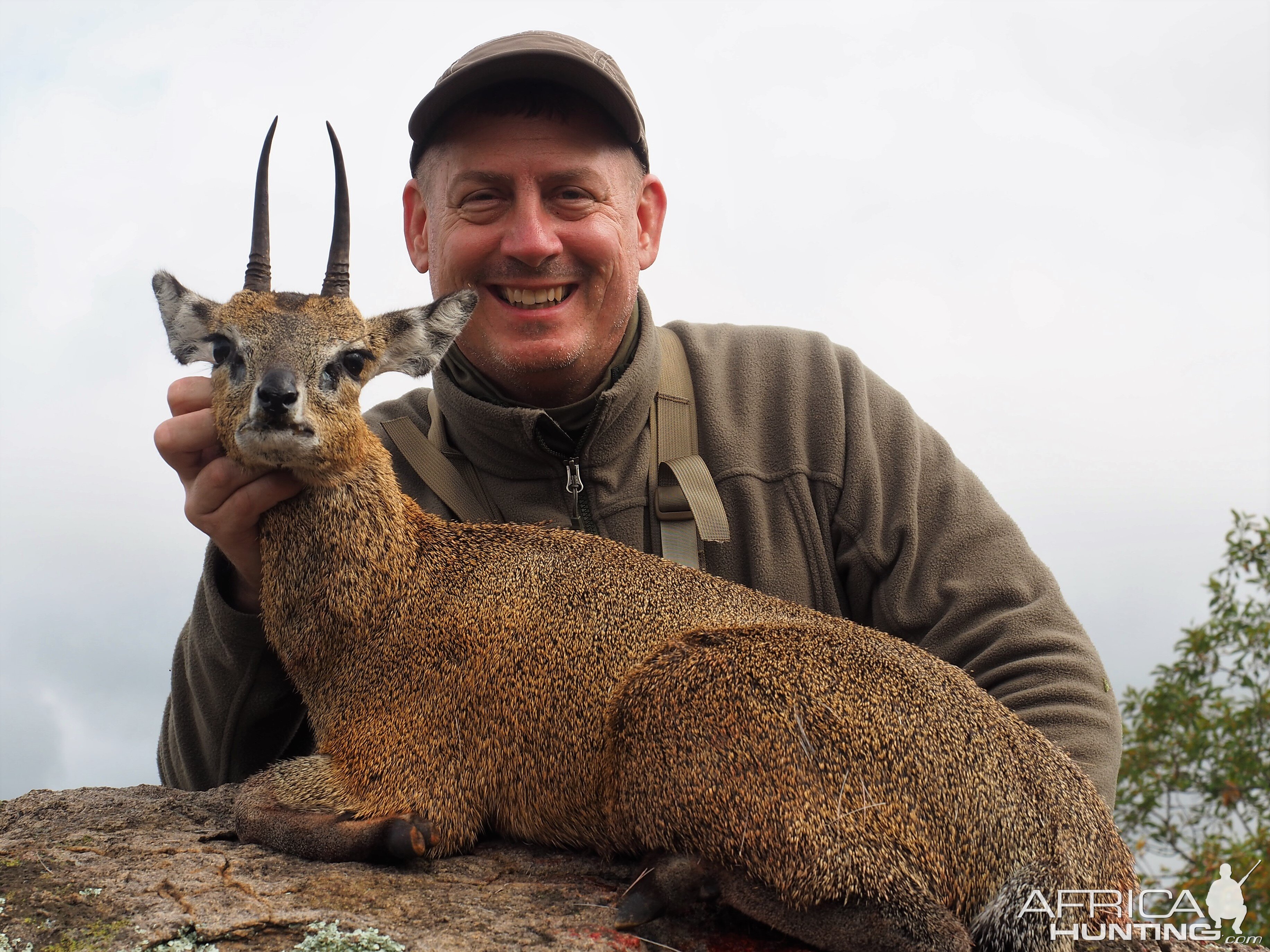 Zimbabwe Hunting Klipspringer