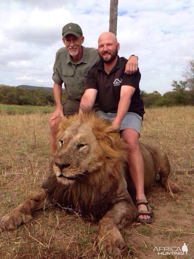 Zimbabwe Hunting Lion