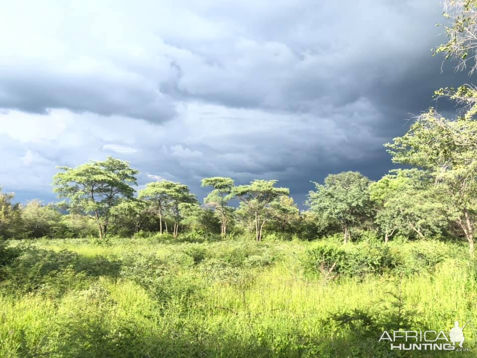 Zimbabwe Hunting | AfricaHunting.com