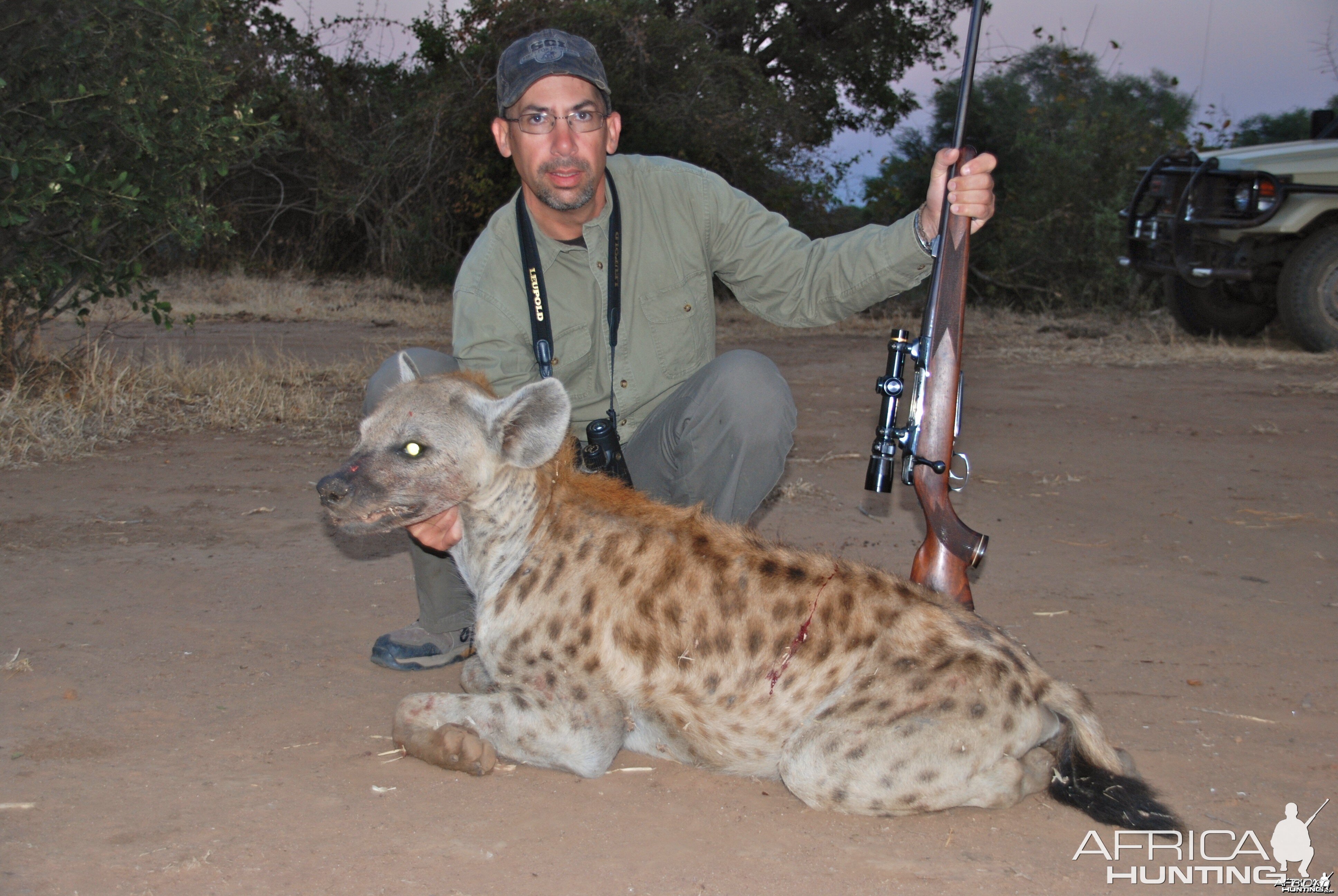 Zimbabwe Hyena 2012
