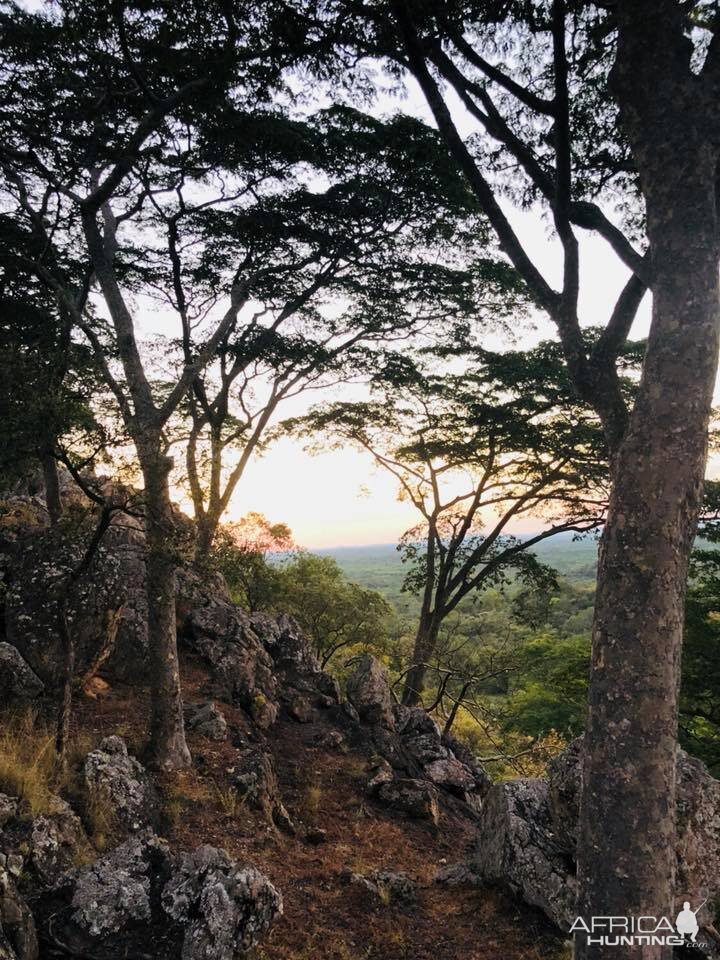 Zimbabwe Landscape