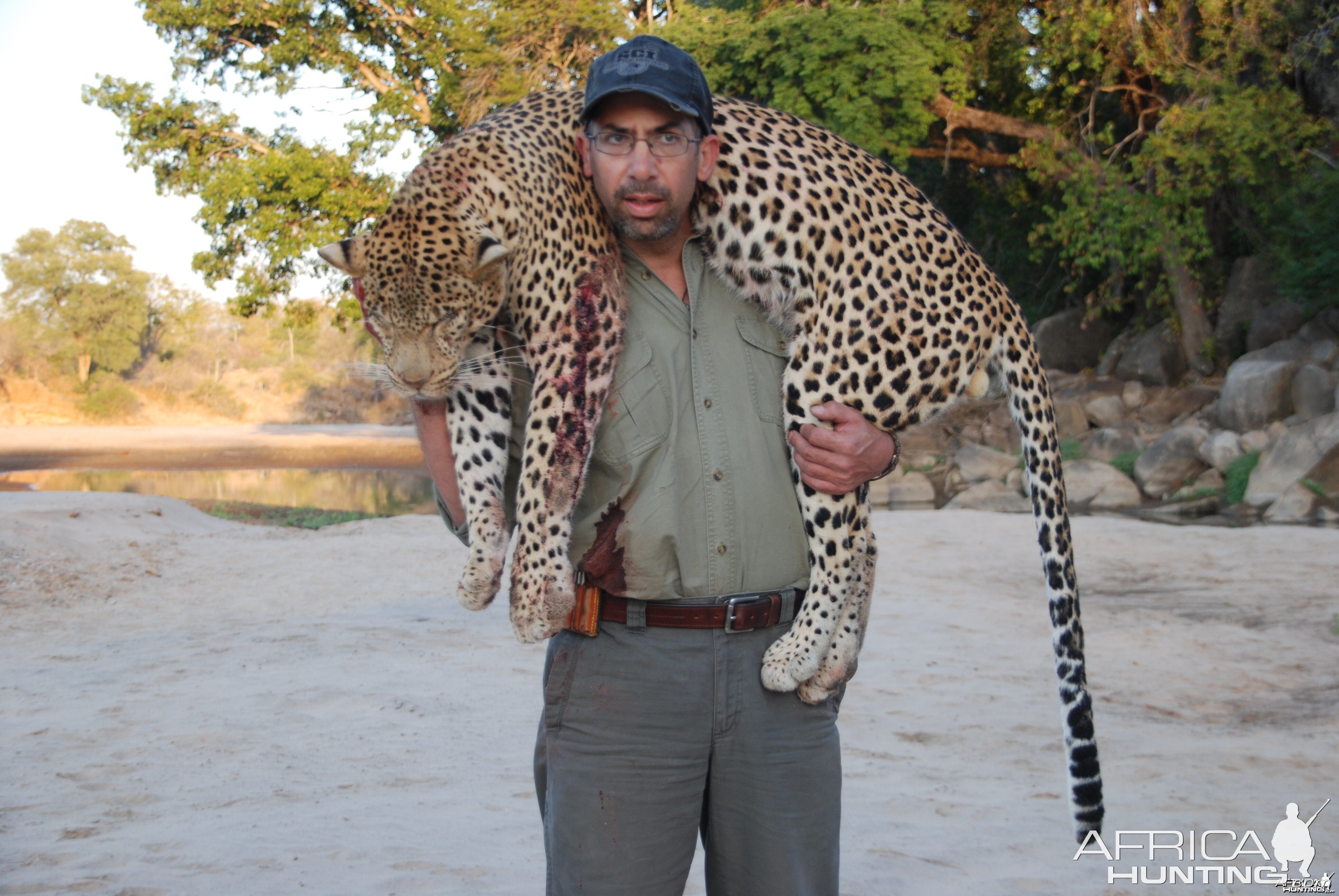 Zimbabwe Leopard 2012