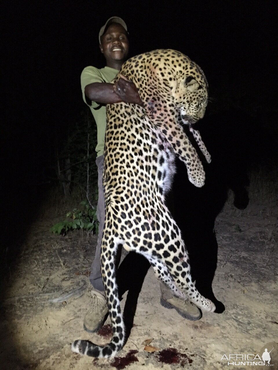 Zimbabwe Leopard Hunt