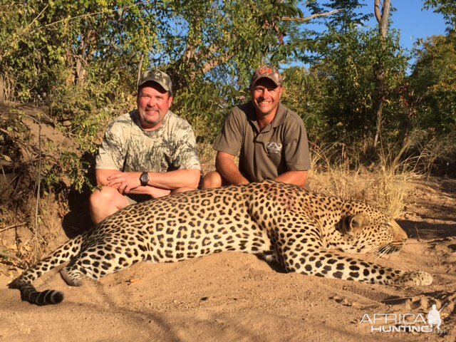 Zimbabwe Leopard Hunt